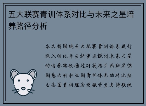 五大联赛青训体系对比与未来之星培养路径分析 五大联赛青训体系对比与未来之星培养路径分析
